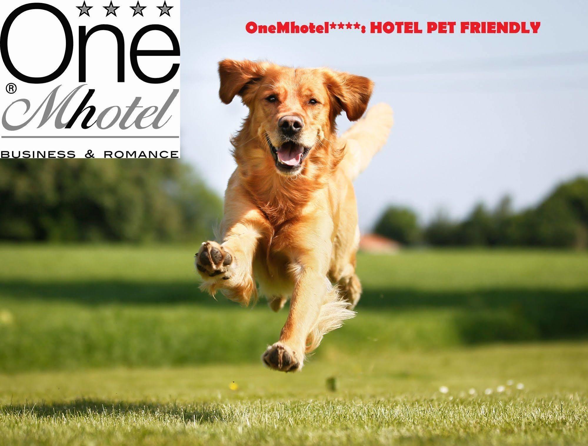 Onemhotel San Paolo  Exteriér fotografie